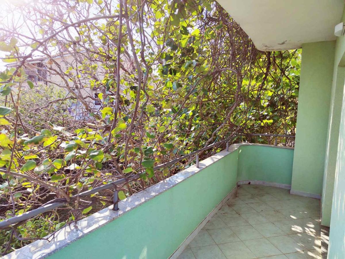 Green House Čavle Zewnętrze zdjęcie